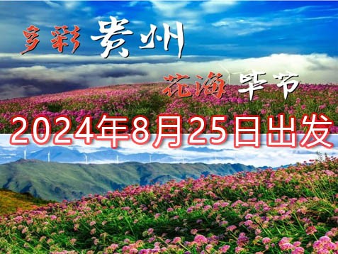 [深圳] 【贵州凉都】韭菜坪、织金洞、织金大峡谷、阿西里西、野玉海五天避暑赏花之旅