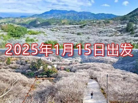 [深圳] 广东汕尾冬游陆河梅花三天温泉之旅