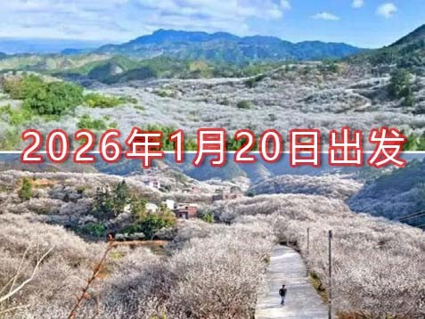 [深圳] 广东汕尾冬游陆河三天梅花温泉之旅