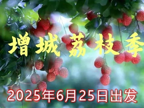 [深圳] 【省内乡村游】广州增城一天荔枝甜蜜之旅