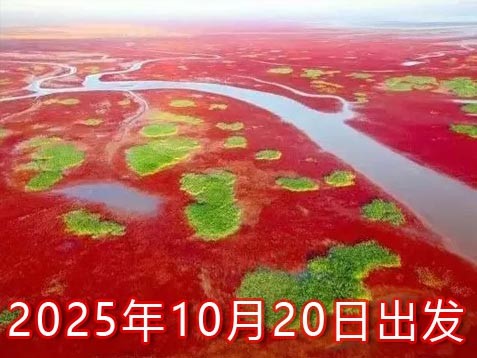 [深圳] 【齐鲁山东】济南、东营、淄博、泰安、曲阜 鲁中七天山水人文之旅