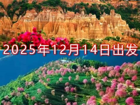 [深圳] 【大理+楚雄】无量山樱花、巍山古城、元谋土林、红土地六天滇西观光赏花之旅