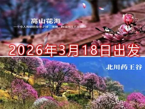 [深圳] 【绵阳+广元】辛夷花、李白故里、两弹城、剑门关、三星堆新馆 六天川北春游赏花之旅